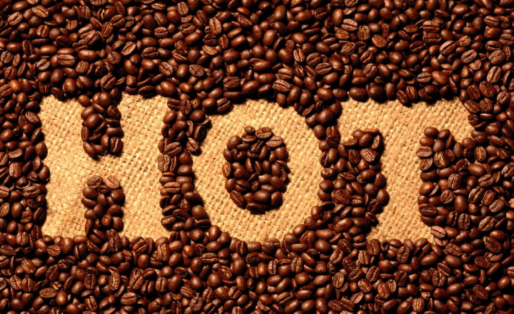 咖啡的果实和种子是什么样的?